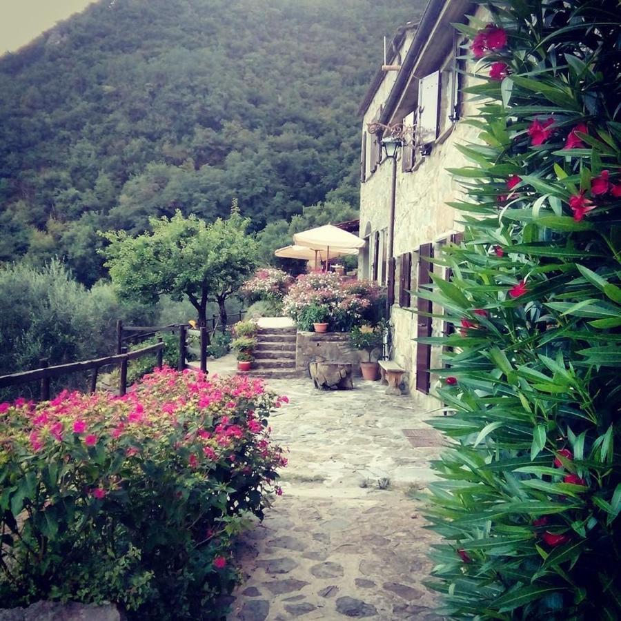 Farmhouse B&B Castagnola 64 Ne Exterior foto